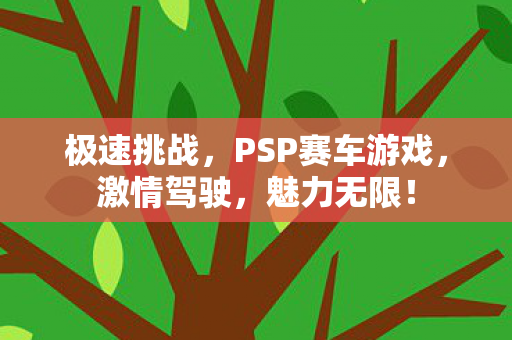 PSP赛车游戏图片