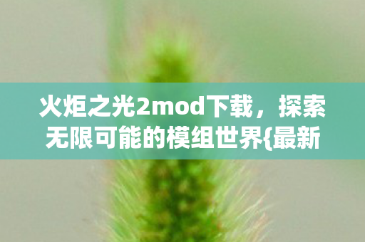 探索无限可能的模组世界图片