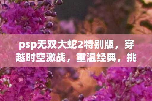 psp无双大蛇2特别版图片