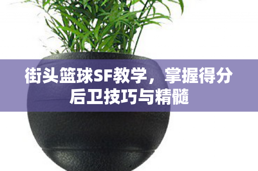 掌握得分后卫技巧与精髓图片