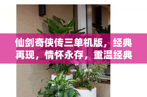 仙剑奇侠传三单机版图片