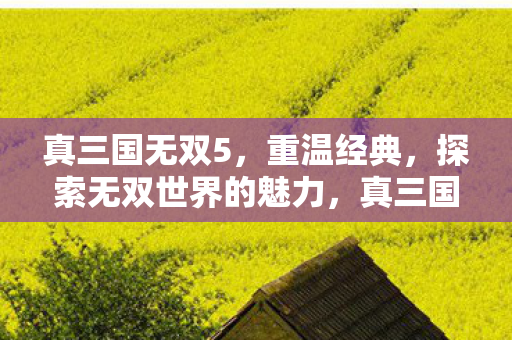 真三国无双5，重温经典，探索无双世界的魅力，真三国无双5，重温经典，探索无双世界的魅力