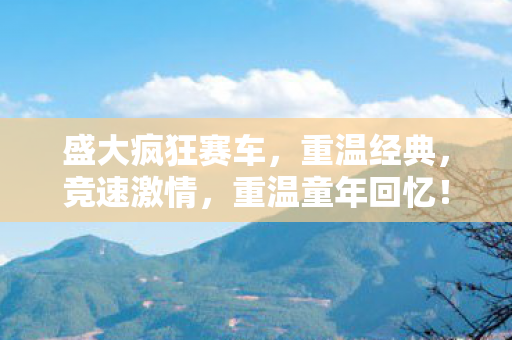 盛大疯狂赛车图片