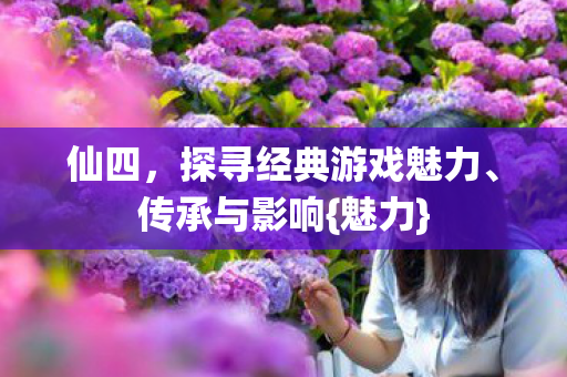 探寻经典游戏魅力图片