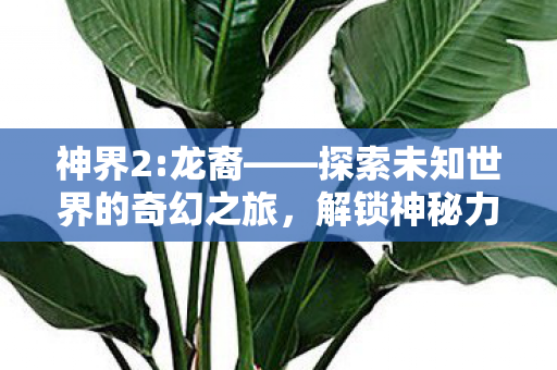 探索未知世界的奇幻之旅图片