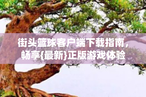 街头篮球客户端下载指南图片