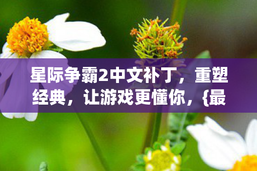星际争霸2中文补丁图片