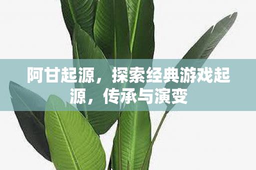 探索经典游戏起源图片