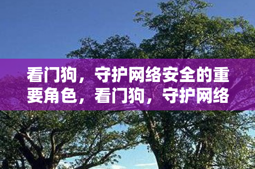 看门狗，守护网络安全的重要角色，看门狗，守护网络安全的重要角色