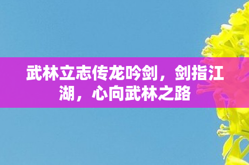 武林立志传龙吟剑图片
