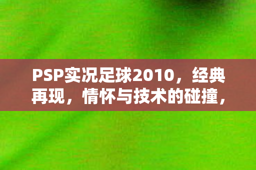 PSP实况足球2010图片