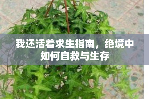 绝境中如何自救与生存图片