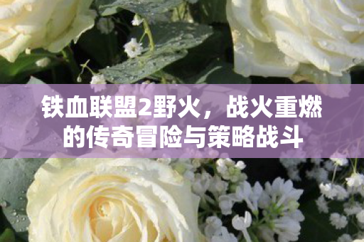 战火重燃的传奇冒险与策略战斗图片