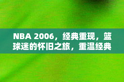 NBA 2006图片