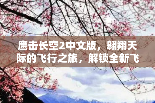 翱翔天际的飞行之旅图片