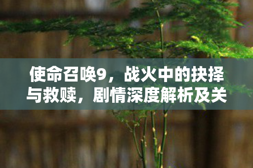 剧情深度解析及关键决策点图片