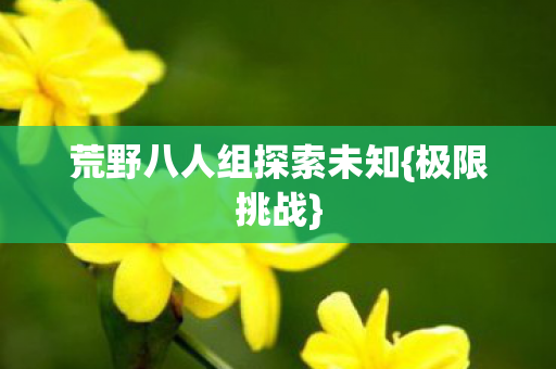 荒野八人组探索未知图片