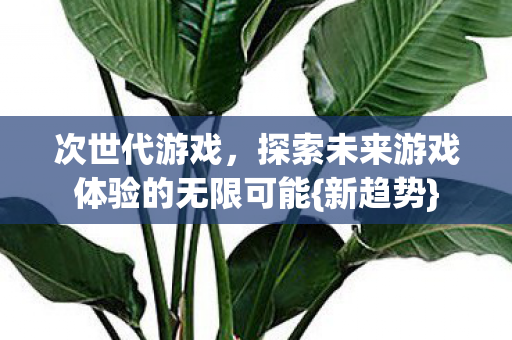 探索未来游戏体验的无限可能图片