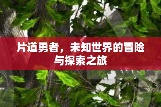 未知世界的冒险与探索之旅图片