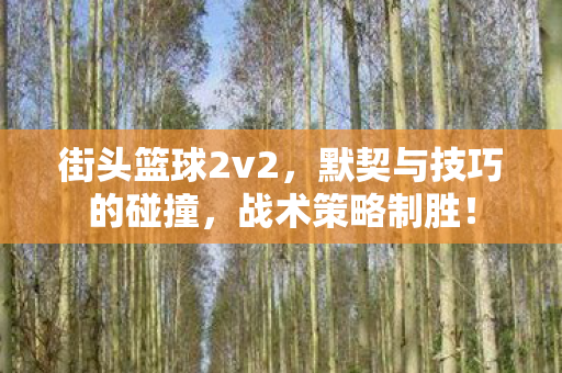 默契与技巧的碰撞图片