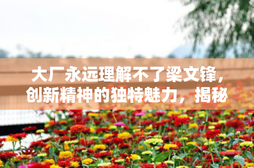 大厂永远理解不了梁文锋图片