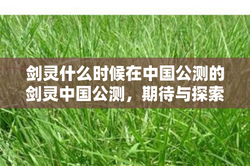 剑灵什么时候在中国公测的剑灵中国公测,期待与探索,期待与探索,揭秘剑灵中国公测时间 剑灵什么时候在中国公测的剑灵中国公测,期待与探索,期待与探索,揭秘剑灵中国公测时间