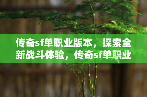 传奇sf单职业版本，探索全新战斗体验，传奇sf单职业版本，全新战斗体验等你来探索