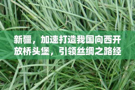 加速打造我国向西开放桥头堡图片