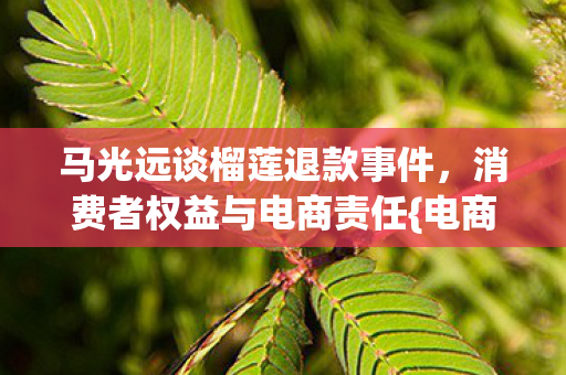 马光远谈榴莲退款事件图片