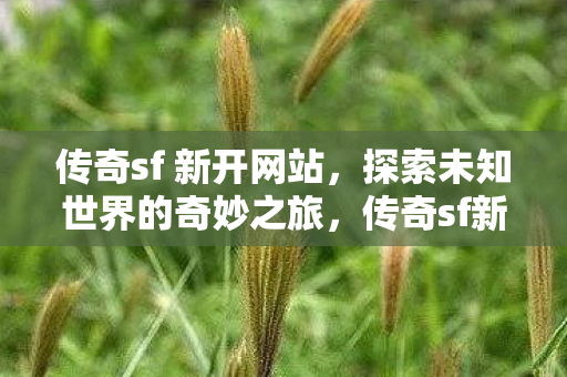 传奇sf 新开网站，探索未知世界的奇妙之旅，传奇sf新站开启，探索未知世界的奇妙冒险之旅