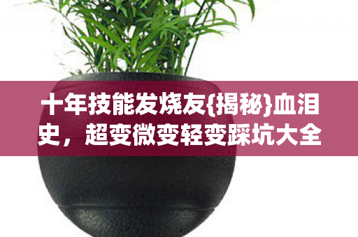 十年技能发烧友{揭秘}血泪史，超变微变轻变踩坑大全