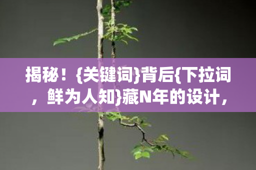 揭秘！{关键词}背后{下拉词，鲜为人知}藏N年的设计，玩家恍然