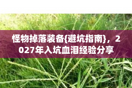 怪物掉落装备{避坑指南}，2027年入坑血泪经验分享