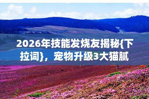 2026年技能发烧友揭秘{下拉词}，宠物升级3大猫腻