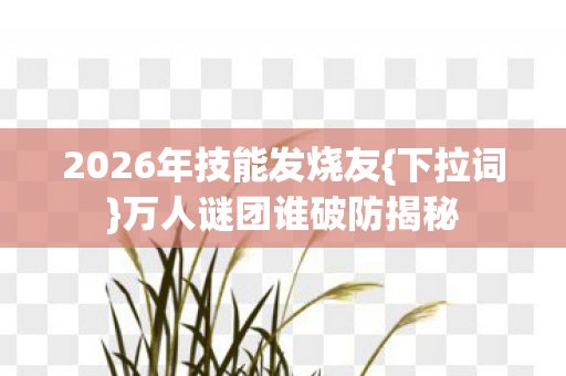2026年技能发烧友图片