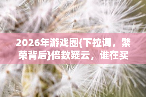 2026年游戏圈{下拉词，繁荣背后}倍数疑云，谁在买单？