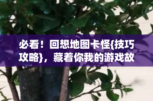 必看！回想地图卡怪{技巧攻略}，藏着你我的游戏故事