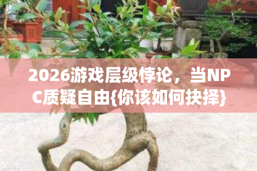 2026游戏层级悖论,当NPC质疑自由{你该如何抉择}? 2026游戏层级悖论,当NPC质疑自由{你该如何抉择}?