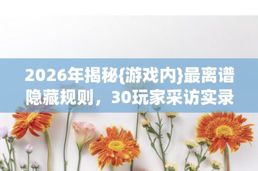 30玩家采访实录图片