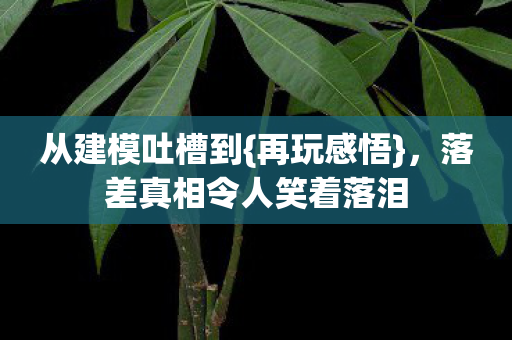 从建模吐槽到{再玩感悟},落差真相令人笑着落泪 从建模吐槽到{再玩感悟},落差真相令人笑着落泪