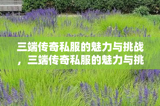 三端传奇私服的魅力与挑战，三端传奇私服的魅力与挑战