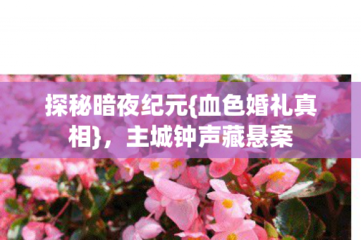 探秘暗夜纪元{血色婚礼真相}，主城钟声藏悬案