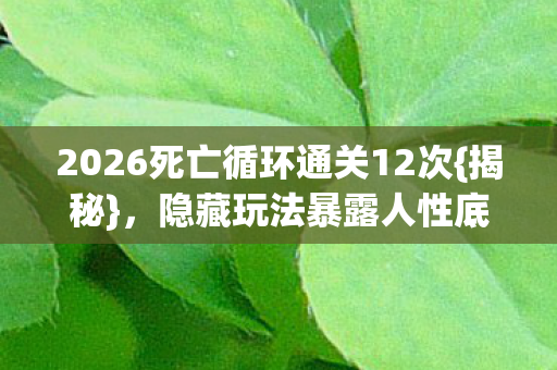2026死亡循环通关12次{揭秘}，隐藏玩法暴露人性底色