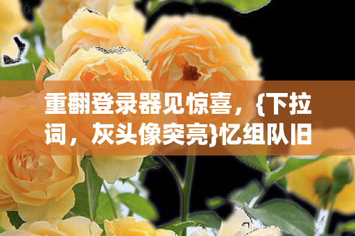 重翻登录器见惊喜图片