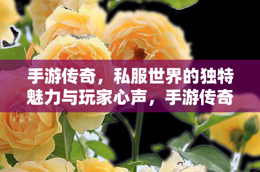 手游传奇，私服世界的独特魅力与玩家心声，手游传奇，私服世界的独特魅力与玩家心声