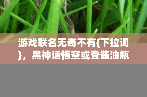 游戏联名无奇不有{下拉词}，黑神话悟空或登酱油瓶