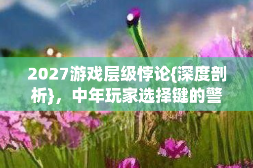 2027游戏层级悖论{深度剖析},中年玩家选择键的警钟 2027游戏层级悖论{深度剖析},中年玩家选择键的警钟