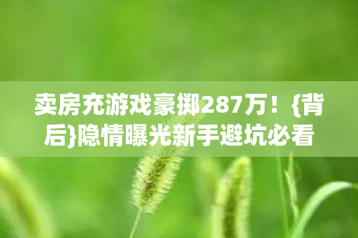 卖房充游戏豪掷287万!{背后}隐情曝光新手避坑必看 卖房充游戏豪掷287万!{背后}隐情曝光新手避坑必看