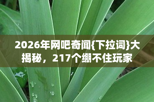 2026年网吧奇闻{下拉词}大揭秘,217个绷不住玩家 2026年网吧奇闻{下拉词}大揭秘,217个绷不住玩家