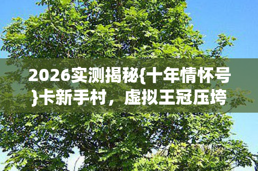 2026实测揭秘{十年情怀号}卡新手村,虚拟王冠压垮现实 2026实测揭秘{十年情怀号}卡新手村,虚拟王冠压垮现实